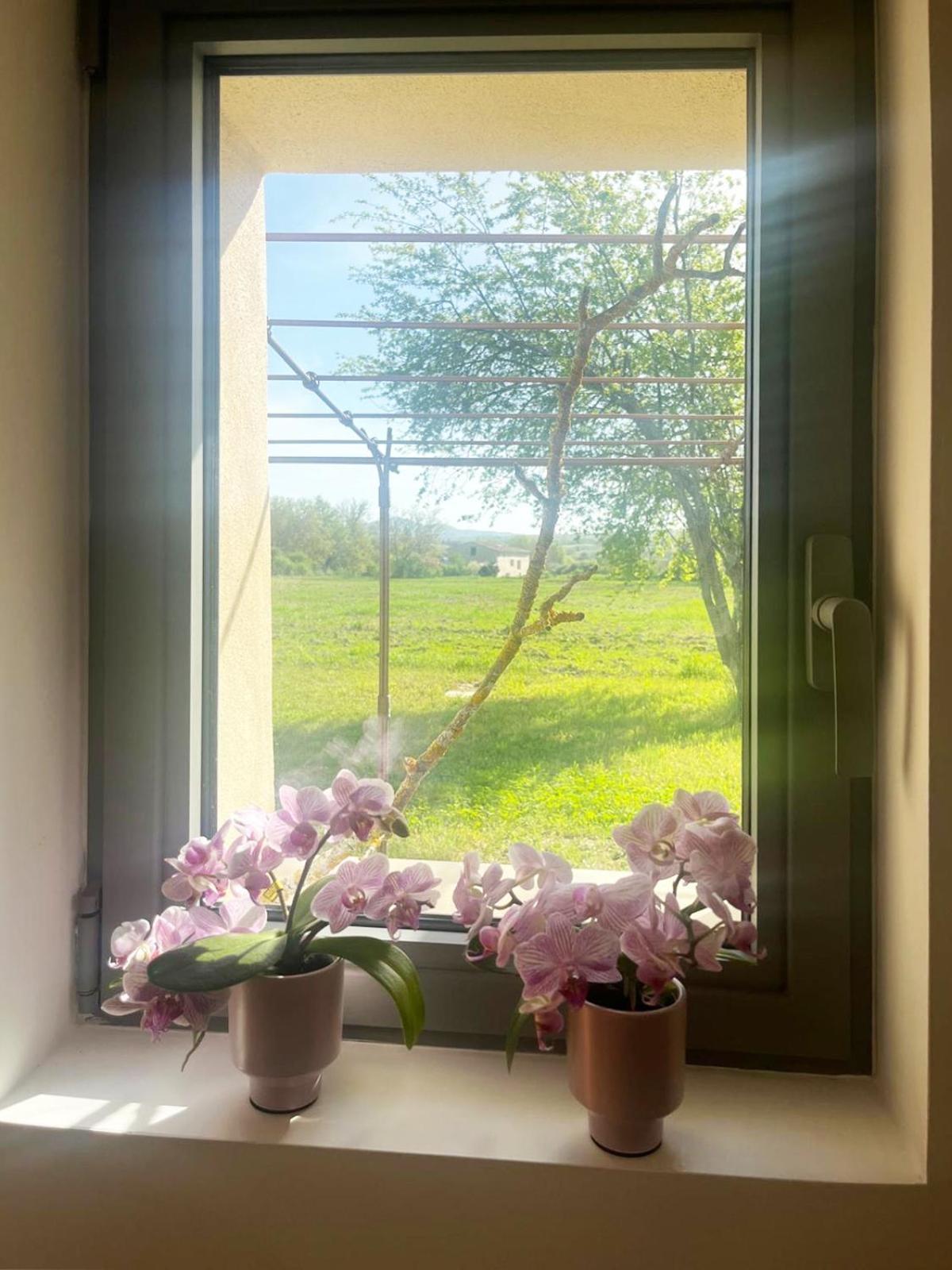 Le Petit Cabanon Provencal Villa Mane  Dış mekan fotoğraf